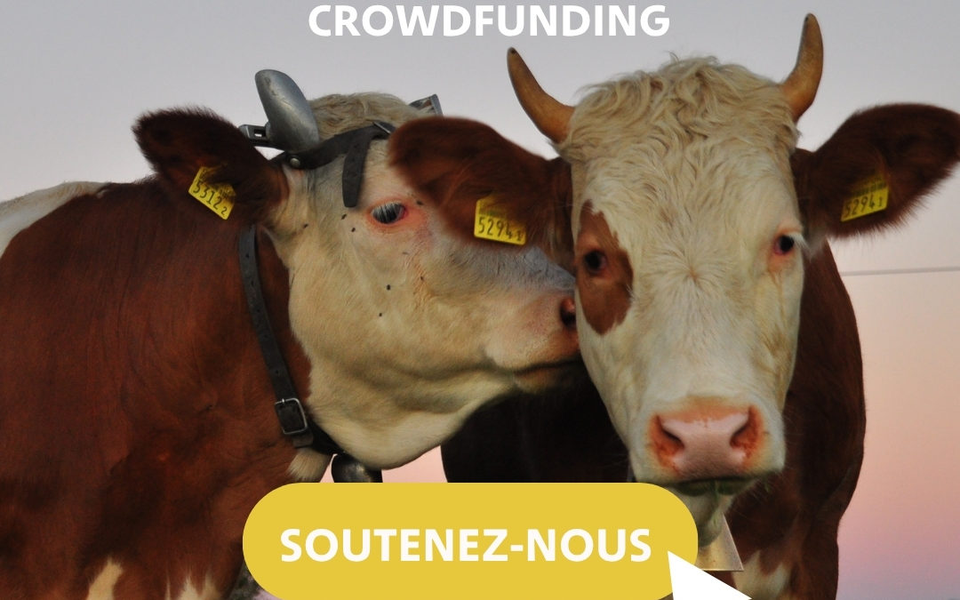 Relais crowdfunding : Aidez nos éleveurs face aux courants vagabonds