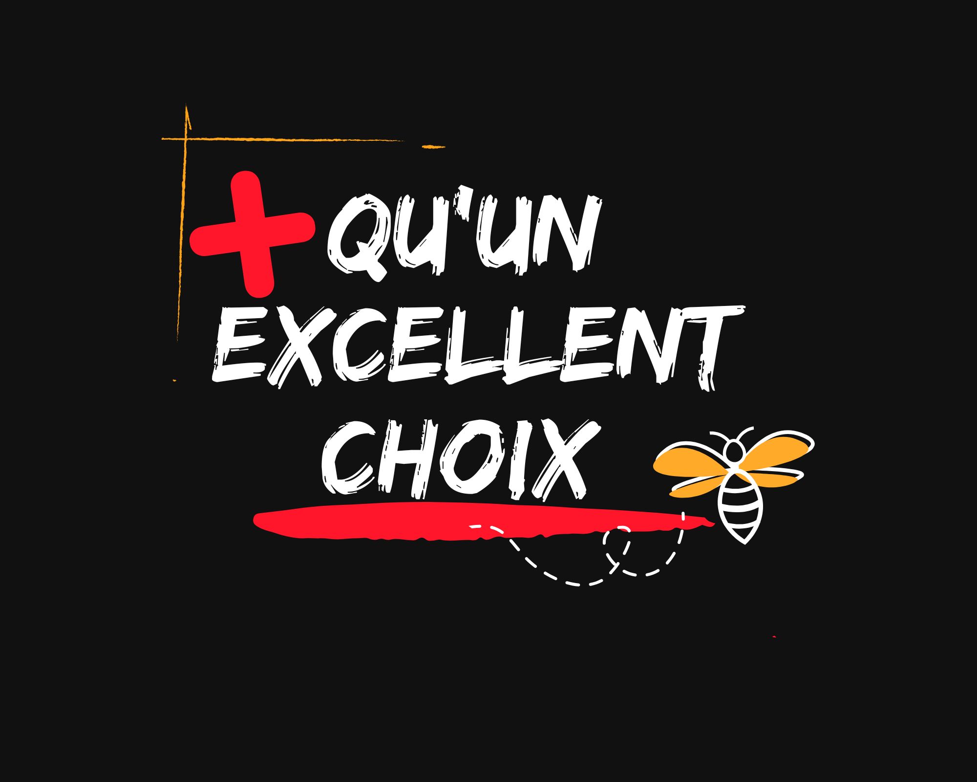 + qu’un excellent choix