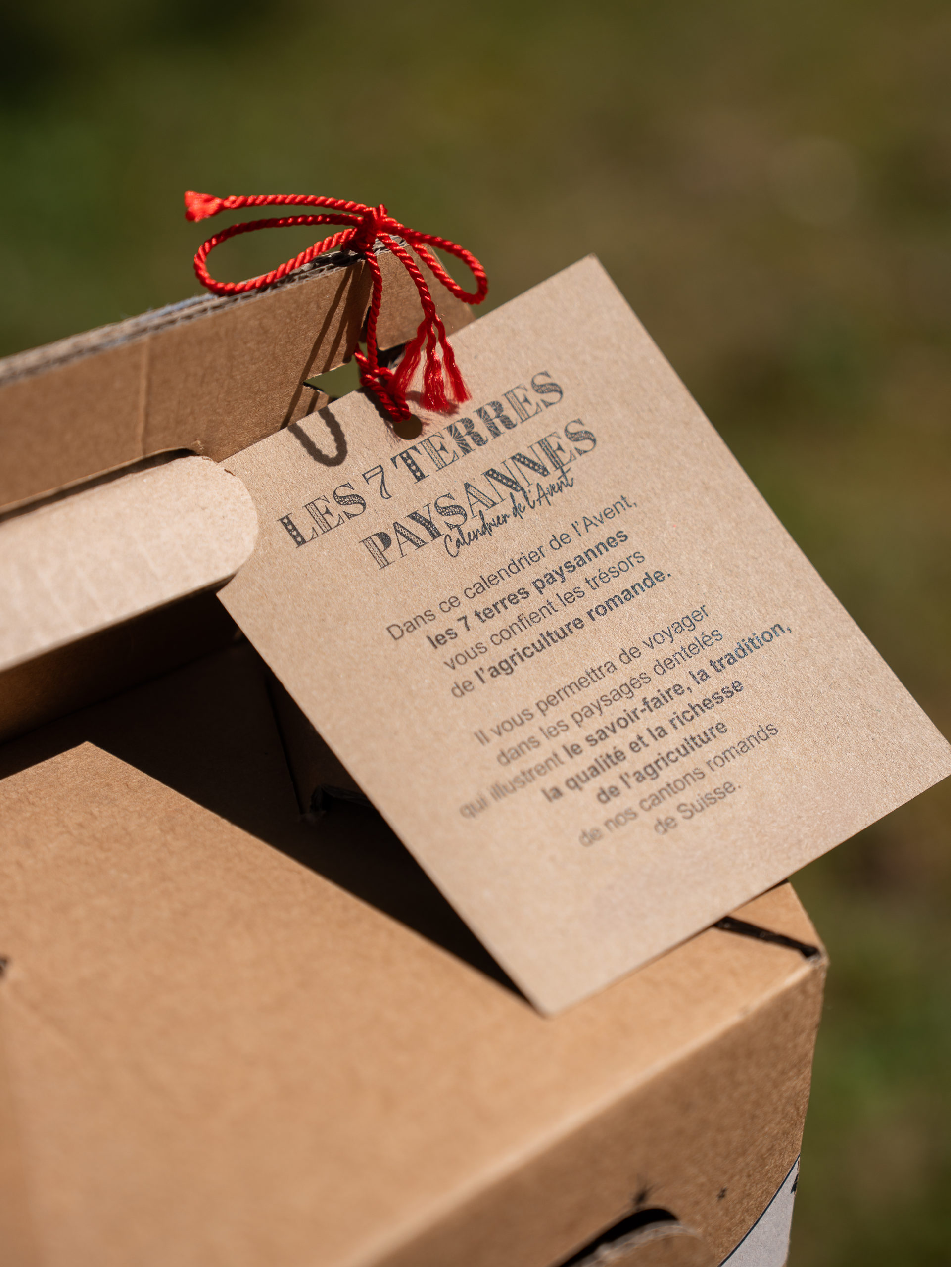 Calendrier de l'Avent 2026, 7 Terres paysannes – Image 12