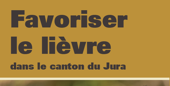 Plan d&rsquo;action lièvre